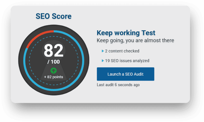 SEO audit score