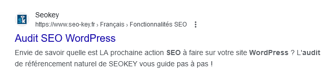 Exemple de résultat Google avec l'affichage du Favicon