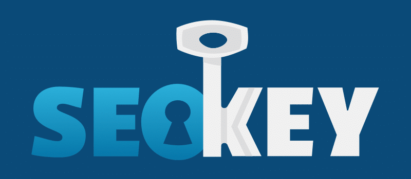 Logo SEOKEY rectangle fond coloré